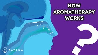 How Aromatherapy Works [upl. by Elmira]