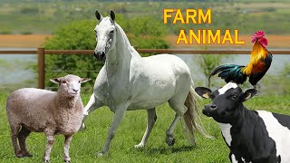 Animais da Fazenda  Nome e som dos Animais da Fazenda [upl. by Antin3]