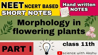 Morphology in flowering plants Chapter 5 class 11th Short notes NEET NCERT  PART 1 [upl. by Soma528]