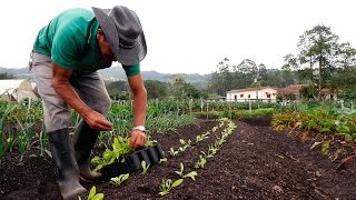 Importancia de la Agricultura Orgánica  TvAgro por Juan Gonzalo Angel [upl. by Sidalg]