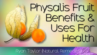 Physalis Fruit Benefits and Uses Cape Gooseberry [upl. by Nanda]