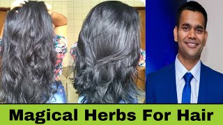 2 Magical Herbs For Hair Growth  Dr Vivek Joshi [upl. by Ameline252]