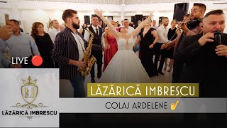 Lazarica Imbrescu  Colaj Aredelene LIVE 🎤🎵 [upl. by Anirual614]