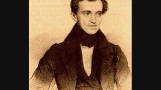 Marcha Radetzky Johann Strauss [upl. by Aicirt]