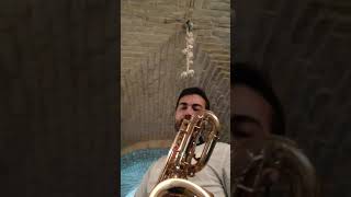 TEST OF CHEAPEST BARITONE SAXOPHONE ON SALE 😱😱😱 [upl. by Delbert]