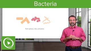 Bacteria Structure amp Types – Microbiology  Lecturio [upl. by Ransome908]