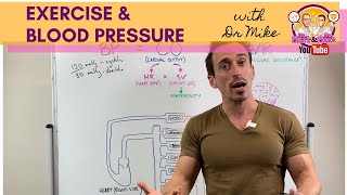 Exercise amp Blood Pressure [upl. by Anifad]