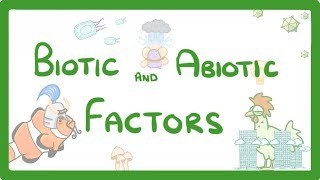 GCSE Biology  Biotic and Abiotic Factors 83 [upl. by Soalokin]