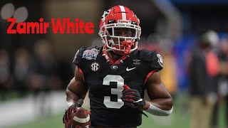 Zamir White Highlights 2020 Georgia Bulldogs RB [upl. by Svend]