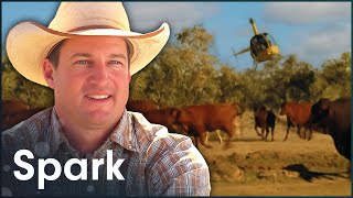 The Australian Farm So Big They Use Helicopters To Herd Cattle  Big Australia [upl. by Olds]