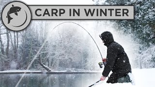 CATCH MORE CARP in WINTER with these 5 tips [upl. by Lanevuj]