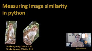 191  Measuring image similarity in python [upl. by Pentheam]