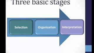 Perception Basics [upl. by Notsgnal874]