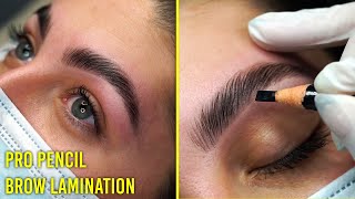 Follow along Brow Lamination tutorial for all eyebrow types Pro Pencil [upl. by Ardnosal]