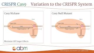 The Science of CRISPR [upl. by Gnat]