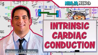 Intracardiac Echocardiography in EP Procedures  How can it help [upl. by Annekcm]