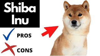 SHIBA INU Pros And Cons SHOCKING [upl. by Schober106]