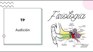 Neurofisiología  Audición  UBA  MEDICINA [upl. by Howie299]