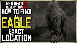 WHERE TO FIND EAGLES IN RED DEAD REDEMPTION 2 EXACT EAGLE MAP LOCATION [upl. by Ag]