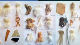 Textile Fiber and Its properties [upl. by Carlos]