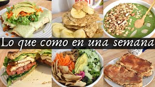 La dieta vegetariana y vegana por una dietistanutricionista [upl. by Jorey]