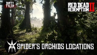 All Spider Orchid Locations Red Dead Redemption 2 RDR2 [upl. by Inalial834]