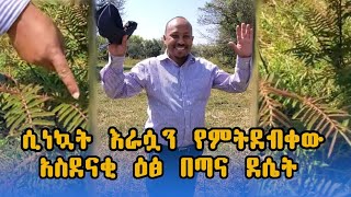 በራሪው መንኮራኩር በኢትዮጵያ፤ በራሪው የሰሎሞን ምንጣፍ ምስጢር [upl. by Harikahs]