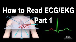 How to Read ECGEKG Part 1 Animation [upl. by Ticon]