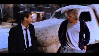 Top 10 Dumb amp Dumber Movie Quotes [upl. by Bushore557]