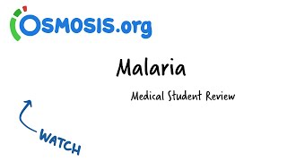 Malaria  Osmosis Study Video [upl. by Olegnalehcim21]