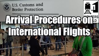 What is the Arrival Procedure on an International Flight [upl. by Duj]