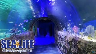 SEA LIFE Orlando Aquarium Full Walkthrough  Reopening Day [upl. by Ecertal]