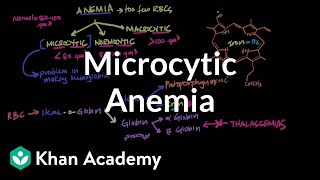 Microcytic anemia  Hematologic System Diseases  NCLEXRN  Khan Academy [upl. by Enaillil209]