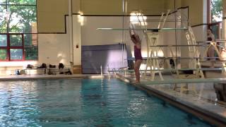 Teach a Flip for Springboard Diving [upl. by Marvin]