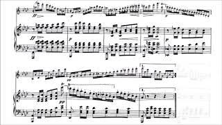 Franz Schubert  Fantasy for Violin and Piano With score [upl. by Thomasa160]