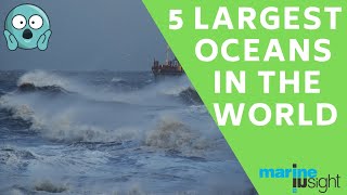 Largest Seas and Oceans in the World [upl. by Theta]