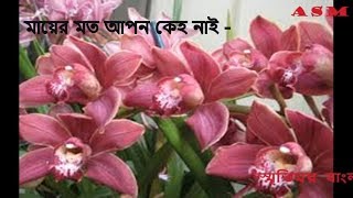 মায়ের মত আপন কেহ নাই [upl. by Loresz890]