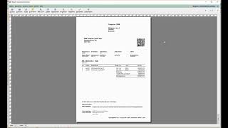 Die elektronische Rechnung [upl. by Reynard]