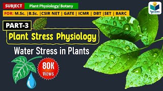 WATERDROUGHT STRESS IN PLANTS  PLANT STRESS PHYSIOLOGY PART3  CSIR NET [upl. by Booze]