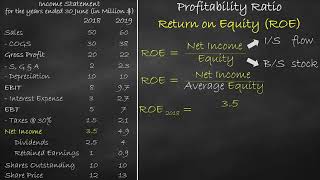 Profitability Ratio  Return on Equity [upl. by Stan]