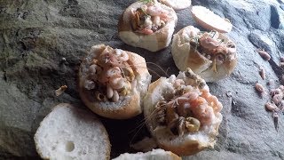 Foraged Prawns and Mussels cooked in a sea cave with Craig Evans [upl. by Ahsyas921]