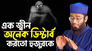 এক জ্বীন অনেক ডিস্টার্ব করতো হুজুরকে  হুজুরের নিজ মুখেই শুনুন  Abrarul Haque Asif [upl. by Steen363]