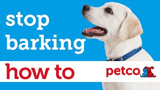 How to Train Your Dog to Stop Barking Petco [upl. by Abey]