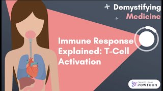 Immune Response Explained TCell Activation [upl. by Ailasor420]