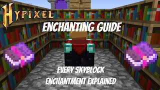 Hypixel Skyblock  Enchanting Guide  Every Enchant Explained [upl. by Perni]