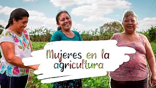 Minidocumental Mujeres en la agricultura  Yucatán México [upl. by Conchita932]