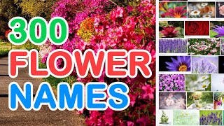 300 FLOWER NAMES IN ENGLISH WITH PICTURES THAT YOU MAY FIND IN YOUR GARDEN [upl. by Denver]