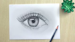 Eye How to Draw Eyes  Realistic Eye Drawing Easy [upl. by Maudie]