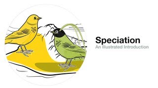 Speciation An Illustrated Introduction [upl. by Mandel]