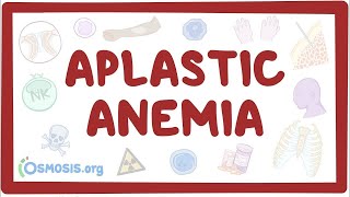 Aplastic anemia  an Osmosis Preview [upl. by Fabio]